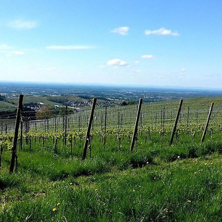 Ferienhof Vordere Alm Оберкірх Екстер'єр фото