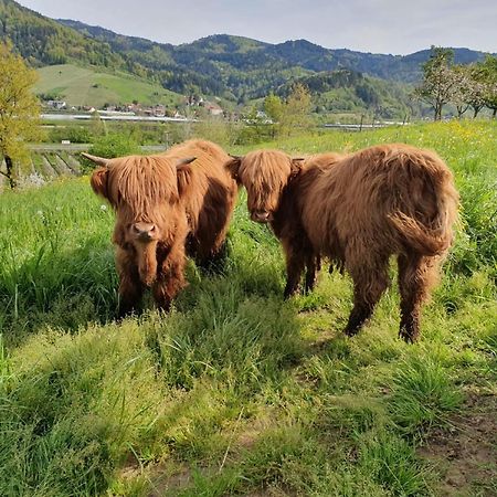 Ferienhof Vordere Alm Оберкірх Екстер'єр фото