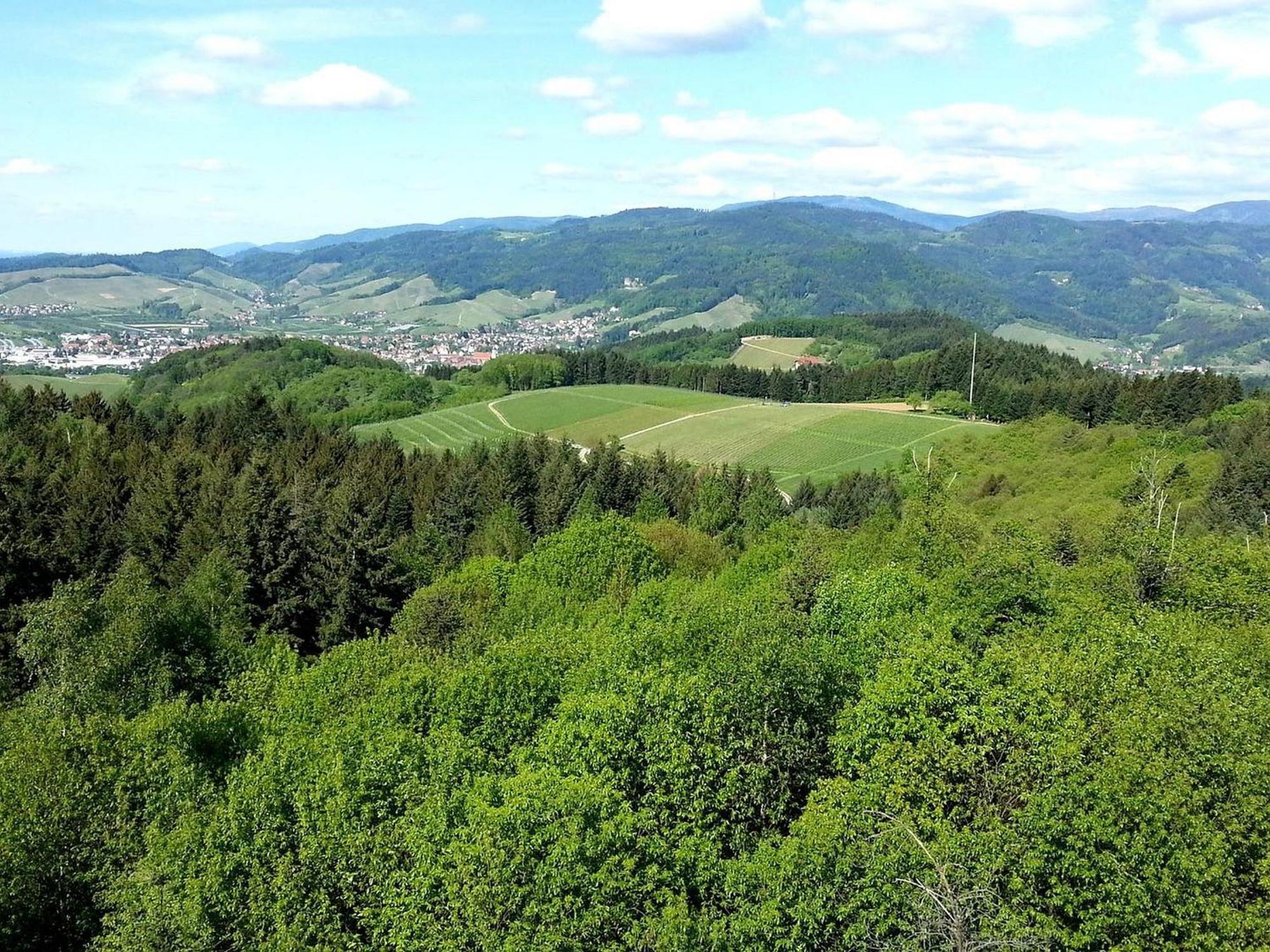 Ferienhof Vordere Alm Оберкірх Екстер'єр фото